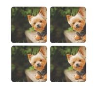 Yorkshire Terrier Bokeh Lindos Perros Pared,Posavasos Cuadrados de Corcho MDF, Almohadilla para Tazas, Juego de 4 Posavasos para Bebidas