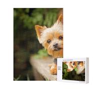 Yorkshire Terrier Bokeh Lindos Perros Pared,Rompecabezas de Madera de 300 Piezas para Adultos y Adolescentes.