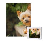 Yorkshire Terrier Bokeh Lindos Perros Pared,Rompecabezas de Madera de 500 Piezas para Adultos y Adolescentes.