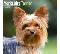 Yorkshire Terrier Calendar 2026 Square Dog Breed Wall Calendar - 16 Month