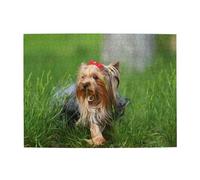 Yorkshire Terrier - Césped, Perros adorables, Lazo Rojo, Rompecabezas de 500 Piezas para Adultos - Rompecabezas de Madera para Adultos Mayores