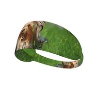Yorkshire Terrier Césped Perros Lindos Ummer Red Bow,Banda Deportiva para el Sudor Unisex, Multiusos, elástica para el Pelo