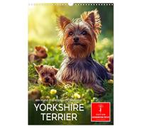 Yorkshire Terrier - ein Hund mit starkem Charakter (Wandkalender 2026 DIN A3 hoch), CALVENDO Monatskalender: Kleiner Hund - aber oho, quirlig und wachsam