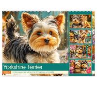 Yorkshire Terrier. Entzückende Minis mit Charme und Witz (Wandkalender 2026 DIN A2 quer), CALVENDO Monatskalender: Süße Yorkshire Terrier in liebevollen, witzigen und abenteuerlichen Momenten