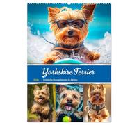 Yorkshire Terrier. Fröhliche Energiebündel in Aktion (Wandkalender 2026 DIN A2 hoch), CALVENDO Monatskalender: Verspielte und lustige Hunde für das ganze Jahr!