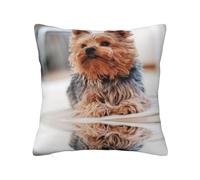 Yorkshire Terrier - Funda de almohada con cremallera oculta, funda de cojín de poliéster, impresión de doble cara, funda de almohada decorativa