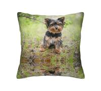 Yorkshire Terrier Little Puppy Pets Dogs, funda de almohada con cremallera oculta, funda de cojín de poliéster, funda de almohada decorativa con impresión de doble cara