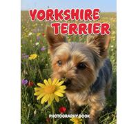 Yorkshire Terrier Photography Book: A Visual Tribute to the Elegant Yorkshire Terrier