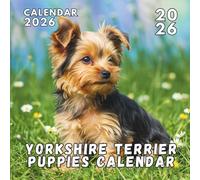 Yorkshire Terrier Puppies 2026 Calendar: A Year of Cuteness & Fluffy Faces