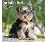Yorkshire Terrier Puppies Calendar 2025 Square Dog Puppy Breed Wall Calendar - 16 Month