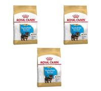Yorkshire Terrier Puppy | Pienso seco para Cachorros | 3 x 500 g | Royal Canin | Alimento completo | Puede ayudar a las defensas naturales | Con Omega 3 y 6 | Paquete de 3