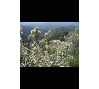 Yorkshire's Church Organs: A History of the Instruments and Their Keepers in the Three Ridings (The Mechanical Sacred: Studies in Musical Craftsmanship)