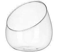 YOSADIER Terrario de Vidrio para Plantas de Escritorio Diseño Inclinado, Botella para Suculentas Naturales, Decoración para Eventos y Espacios Interiores