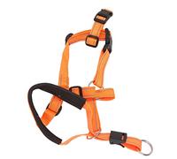 Yosoo Health Gear Halter de Cabeza de Cuello de la Cabeza del Perro para Perros El Hocico Ajustable Correa contra la Mordida con Material de Nylon Suave para la Fuerza de Mordedura de Control (L)