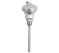 Yosoo Health Gear Sonda de Temperatura PT100 RTD, Rosca NPT 1/2", Cabeza Terminal 100mm Acero Inoxidable para Controladores de Temperatura (Tubo de protección 100mm)