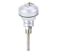 Yosoo Health Gear Sonda de Temperatura PT100 RTD, Rosca NPT 1/2", Cabeza Terminal 100mm Acero Inoxidable para Controladores de Temperatura (Tubo de protección 50mm)