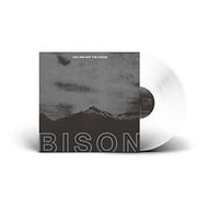 You Are Not the Ocean You Are the Patient (Clear) [Vinilo]