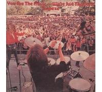 YOU ARE THE MUSIC WE'RE JUST THE BAND LP (VINYL ALBUM) UK THRESHOLD 1972