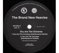 You Are The Universe