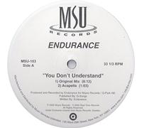 You Dont Understand - Endurance 12"