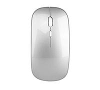 YOU GLOW GIRL Ratón inalámbrico led, ratón de computadora dpi Ajustable, ratón inalámbrico USB 2.4g, con Interfaz de conversión USB - c, Adecuado para ipads, tabletas (Plateado)