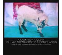 You Have Already Gone To The Other World by A Hawk And A Hacksaw (2013-04-02)