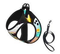 You Make Me Happy Camper - Juego de arnés y correa de malla suave para perro, cachorro, gato, cómodo, acolchado, sin tirones