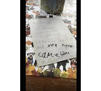 You Never Came Home