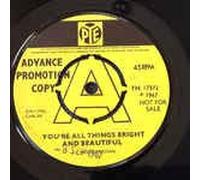 You´re All Things,Bright And Beautiful/I´m Gonna Love You,Baby(7" Vinyl Single)(1967)(PYE 7N 17372)