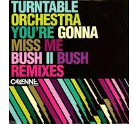 You Re Gonna Miss Me [Vinilo]