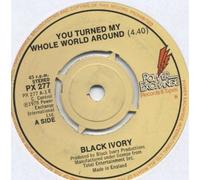 You Turned My Whole World Around