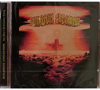 You Won't Remember Dying by Bulbous Creation (2011-01-01)