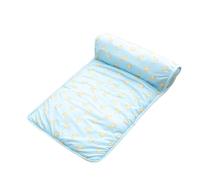 YOUCAI Colchoneta Refrescante Reversible de Seda Suave Colchón para Dormir Alfombra de refrigeración Manta de enfriamiento para Gatos, hámster, Chinchilla cobayas Azul