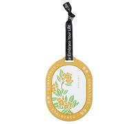 Youding - Tarjetas desodorantes para coche, tarjetas perfumadas para armarios | Perfume de aire para espejos de coche - Tarjetas versátiles decorativas de tabletas de aromaterapia de coche para el