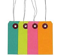 Youdoit Etiquetas de Color con Alambre