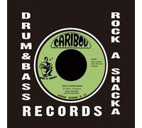 You'll Never Know [Vinilo]