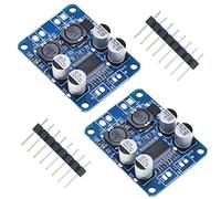 Youmile 2 piezas DC8-24V TPA3118 PBTL Placa amplificadora de audio de un solo canal Módulo AMP estéreo digital mono para sistema de audio con encabezado de clavija de 20 clavijas