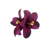 YOUNAFEN Pinza para el pelo de tela de orquídea para mujer, elegante clip lateral de flores de tela, accesorios para el cabello, pasadores para coleta, como se muestra en las imágenes