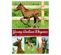 Young Arabian Elegance (Desk Calendar 2027 DIN A5 portrait), CALVENDO 12 Month DeskCalendar: The fascinating world of young Arabian horses - full of grace, energy, and a zest for life.
