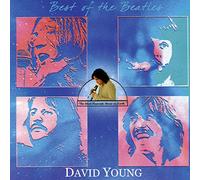 Young David - Best of the Beatles