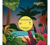 Young Gun Silver Fox - Pleasure (Extended Mixes)