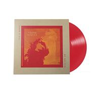 Young Mister This Is Where We Are Now (140 Gram Re