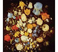 Young Moon - Navigated Like the Swan [Vinilo]