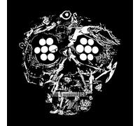 Young Widows - DECAYED: Ten Years of Cities, Wounds, Lightness, and Pain [Vinilo]
