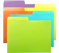 Youngever Paquete de 10 carpetas de pestañas de plástico resistente, en 5 colores