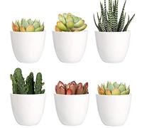 Youngever Paquete de 10 Mini macetas de plástico de 8 cm, macetas de jardinería Blancas con Drenaje para Todas Las Plantas de casa, Flores, Hierbas, suculentas, no Incluye Plantas (Modernas)