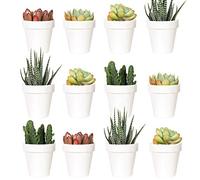 Youngever Paquete de 24 Mini macetas de plástico de 5 cm, macetas de Flores de Interior, Maceta de jardinería Blanca con Drenaje, no Incluye Planta (clásica)