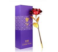 Youngine Creative Madre Regalo del día de 24 K lámina de Oro Rosa Flores Full Blossom Presenta, romántico Regalo para Ella con Caja, Hecho a Mano & Amor dure para Siempre (Rojo)