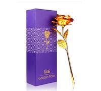 Youngine Creative Madre Regalo del día de 24 K lámina de Oro Rosa Flores Full Blossom Presenta, romántico Regalo para Ella con Caja, Hecho a Mano & Amor dure para Siempre (Oro)