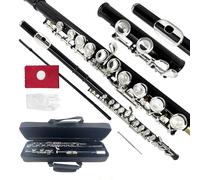 YoungMonic Flauta C de agujero cerrado de 16 teclas para principiantes, flauta negra chapada en níquel con kit completo de iniciación, funda, herramientas de limpieza, guantes, elegante instrumento de
